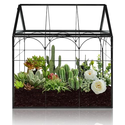 22cm Terrarium Glas Mini Terrarium Geometrisches Pflanzen Terrarium Fleischfressende Pflanzen Terrarium für fleischfressende Sukkulenten Kakteen von Johyzmpun