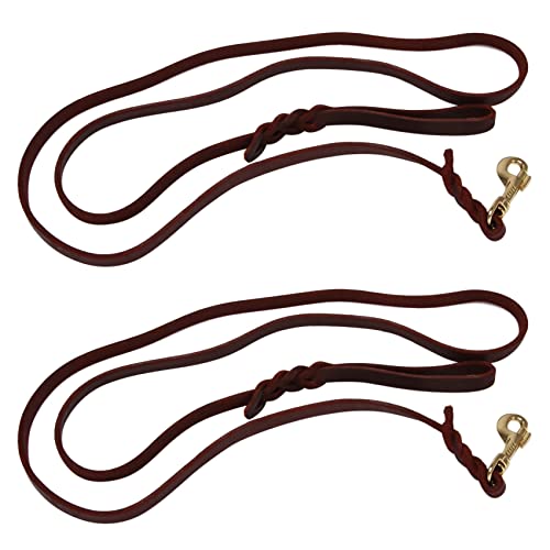 Jojomino 2 x 2 m lange Lederleine für Hunde, geflochten, Traktionshalsband, Trainingsleine von Jojomino