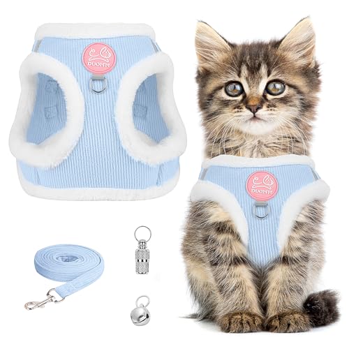 Katzengeschirr Ausbruchsicher Set, Katze Brustgeschirr mit Reflektierend, Katzenleine Geschirr für Katzen, Katzengeschirr mit Leine Set Katzengeschirr für Katzen Kätzchen Welpen (Blau, M) von Jokureao