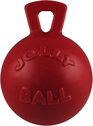 Jolly Pets Bounce and Play Ball Hundespielzeug, mittelgroß, Pink von Jolly Pets