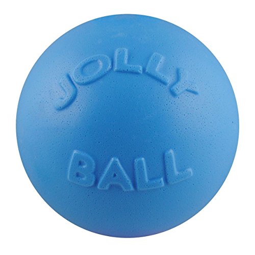 Jolly Pets Bounce-n-Play Jolly Ball (11,4cm) (Blaubeere) von Jolly Pets