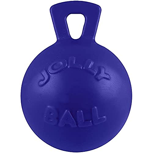 Jolly Pets JOLL047F Hundespielzeug - Tug-n-Toss, 25 cm, blau von Jolly Pets