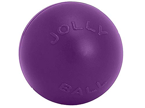 Jolly Pets Push-n-Play Ball Hundespielzeug, 25,4 cm/groß, Lila von Jolly Pets