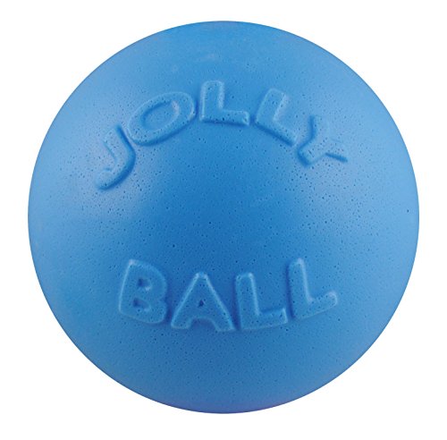 Jolly Pets Toys Jolly Bounce-n-Play Hundespielzeug, blueberry, Large/X-Large von Jolly Pets