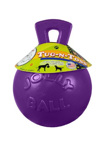 Jolly Pets Tug-n-Toss Robuster Hundespielzeugball mit Griff, 20,3 cm/groß, Violett von Jolly Pets