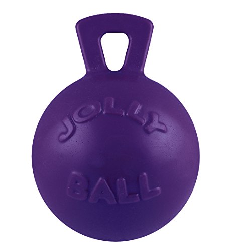 Jolly Pets Tug-n-Toss Hundespielzeug Ball mit Griff, robust, 25,4 cm/XL, Violett von Jolly Pets