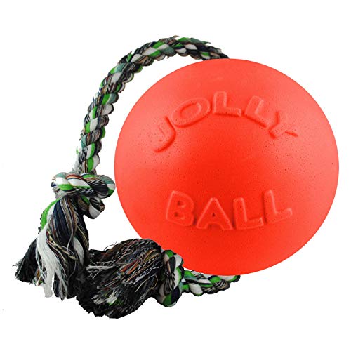 Jolly Pets toben und herum Rollen Spielzeug., Large / X-Large von Jolly Pets