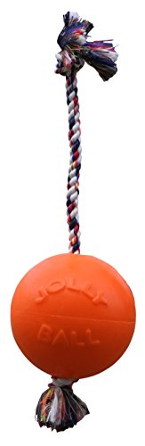 Jolly Pets toben und herum Rollen Spielzeug., Large / X-Large von Jolly Pets