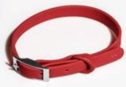 JollyRover Pets Pfotenhalsband, Rot, Größe XL von JollyRover Pets