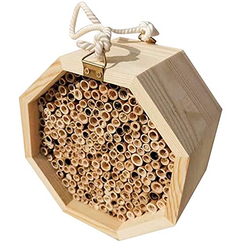 Jolsaawie Bienenzuchtbox aus Holz, Wabenbox, kreativ von Jolsaawie