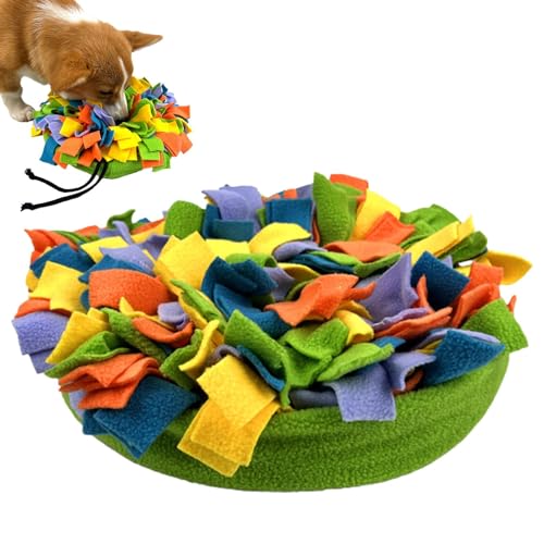 Jomewory Pet Futtermatte - Interaktive Schnüffelmatte - Indoor Futtermatte Puzzle Hundespielzeug für kleine und mittelgroße Hunde, fördert natürliche Futtersuche Fähigkeiten von Jomewory