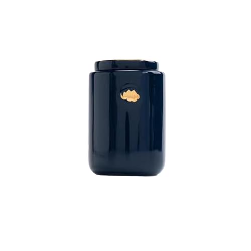 Jonesangle Aorom Haustier-Urne for gestorbene Beerdigung, Gedenkaltar for Katzen und Hunde, versiegelte, feuchtigkeitsbeständige Aufbewahrungsdose(Frosted Blue(Suitable for 4 Catty)) von Jonesangle