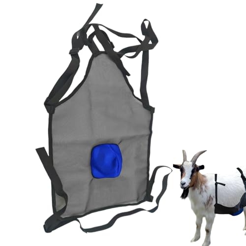 Ziegen Lätzchen - Schaf Zuchtschutz Lätzchen | Landwirtschaftliches Werkzeug, Zubehör Zur Verhinderung Der Tierzucht Für Nutztiere Wie Und Ziegen Lätzchen - Schaf Zuchtschutz Lätzchen | Landwirtschaftliches Werkzeug, Zubehör Zur Verhinderung Der Tierzucht Für Nutztiere Wie Und von Jongyumo