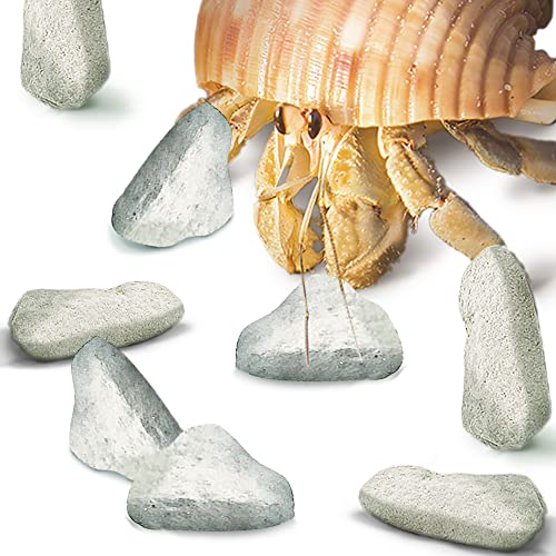 JOR Mineralsteine für Einsiedlerkrebse, kalziumreich für stärkere Muscheln und Vitalität des Haustieres, für die ideale Luftfeuchtigkeit des Aquariums, Terrarium-Dekor, 57 ml von Jor