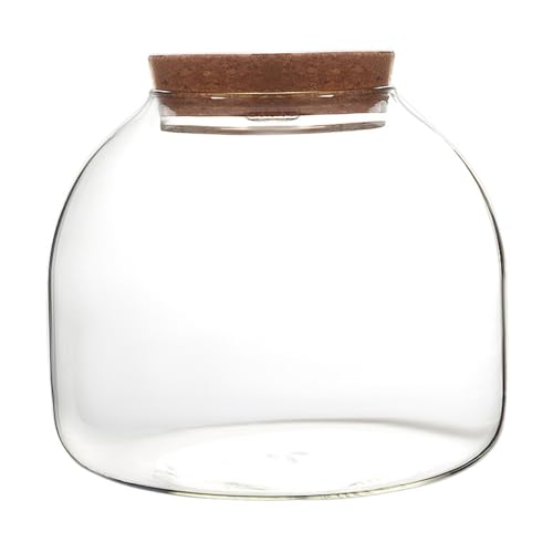 Glasterrarium Glasterrarium für Pflanzen 1600 ml Pflanzenterrarium mit Korkdeckel Terrariumglas mit großer Öffnung für Mini-Sukkulenten Landschaftsbau von Jorzer