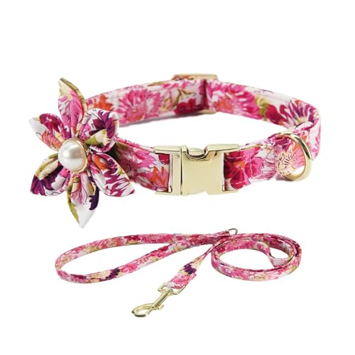 Hundehalsband mit Blumenmädchen Hundekragen Süßes weibliches Hundehalsband mit Verstellbarer Metallschnalle für Haustier -Outfit (L) Tierkragen von Jorzer