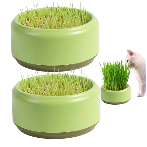 Jorzer Katzengras Pflanzer Katzengrasanbau Box 2pcs Praktische runde Katzengrasbecher 5,3 Zoll praktische Katzengras -Wachstumskit Haushalt Katze Gras -Kindergärten -Samenrouter -Tablett von Jorzer