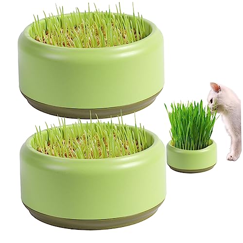 Jorzer Katzengras -Pflanzer Praktische runde Katzengrasbecher Katzengras -Wachstumstabeln Kit Haushalt Katzengras Gärtner Samen -Sprouter -Tablett für PET 2 PCS 5,3 Zoll von Jorzer