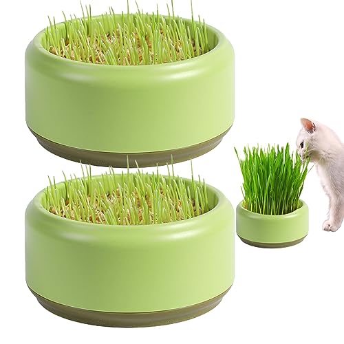 Jorzer Katzengras -Pflanzer Samen -Stecker Tabletts Praktische runde Katzengrasbecher Bequeme Katzengras -Wachstumskit Haushalt Katze Gras Gärtner Samen Sprouter Tablett 2pcs 5,3 Zoll von Jorzer