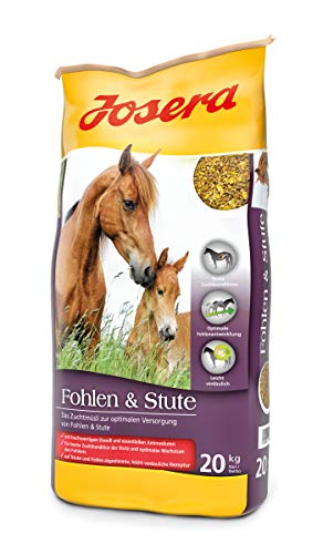 JOSERA Fohlen & Stute (1 x 20 kg) | Premium Pferdefutter für eine optimale Versorgung | haferfrei | energiereiches Müsli für Stuten und Fohlen | 1er Pack von Josera