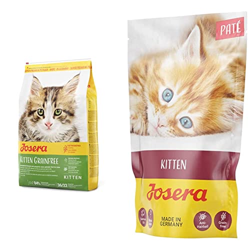 JOSERA Kitten grainfree (1 x 10 kg) | getreidefreies Katzenfutter mit Lachsöl | Trockenfutter für wachsende Katzen & Paté Kitten (16 x 85 g) | getreidefreies Katzenfutter mit Huhn, Karotte und Lachsöl von Josera