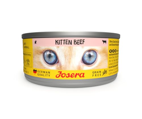 JOSERA Nassfutter Kitten Beef (12 x 85 g) | Kitten | Premium Katzenfutter nass für wachsende Katzen | Rind | mit Lachsöl | getreidefrei | Anti-Haarballen | Alleinfutter | 12er Pack von Josera