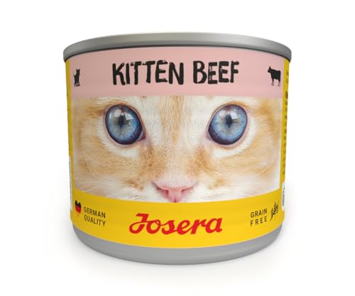 JOSERA Nassfutter Kitten Beef (6 x 200 g) | Kitten | Premium Katzenfutter nass für wachsende Katzen | Rind | mit Lachsöl | getreidefrei | Anti-Haarballen | Alleinfutter | 6er Pack von Josera