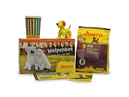 JOSERA Welpenbox mit Kids Welpenfutter | für mittlere und große Rassen | inklusive Messbecher, Welpenfibel und Quietsche-Spielzeug | Super Premium Trockenfutter für wachsende Hunde | 1er Pack von Josera