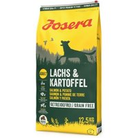 Josera Lachs & Kartoffel für empfindliche Hunde 12,5 kg von Josera