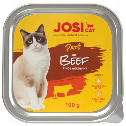 JosiCat Paté with Beef (16 x 100 g) | Saftiges Katzenfutter mit Rind & Vitamin E & D3 | getreidefrei | Premium Nassfutter für ausgewachsene Katzen | Alleinfutter | Powered by JOSERA | 16er Pack von Josera