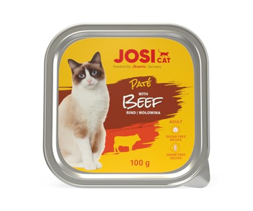 JosiCat Paté with Beef (32 x 100 g) | Adult | Premium Nassfutter für ausgewachsene Katzen | Pastete mit Rind | Vitamin D3 & E | getreidefrei | Powered by JOSERA | Katzenfutter nass | 32er Pack von JosiCat