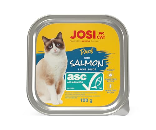 JosiCat Paté with Salmon (32 x 100 g) | Adult | Premium Nassfutter für ausgewachsene Katzen | Pastete mit Lachs (ASC-Zertifiziert) | getreidefrei | Powered by JOSERA | Katzenfutter nass | 32er Pack von JosiCat