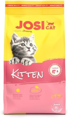 JosiCat Kitten (1 x 1,9 kg) | JUNIOR | Premium Trockenfutter für wachsende sowie tragende & säugende Katzen | mit hohem Energiegehalt & wertvollem Lachsöl & Vitaminen | Powered by JOSERA | 1er Pack von JosiCat