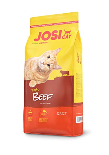 JosiCat Tasty Beef (1 x 10 kg) | Adult | Premium Trockenfutter für Katzen | mit herzhaftem Rind - sehr gut verträgliche Rezeptur | Powered by JOSERA | Katzenfutter | Alleinfuttermittel | 1er Pack von JosiCat