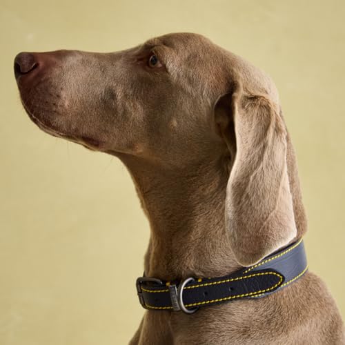 Rosewood Joules Hundehalsband, Leder, Größe L, Marineblau von Joules