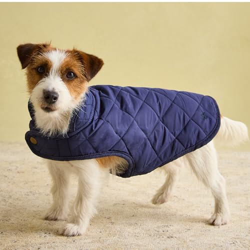 Rosewood Joules Hundemantel, gesteppt, Größe S, Marineblau von Rosewood