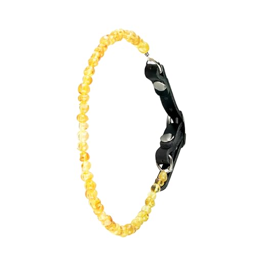 Bernstein-Halsband für Hunde oder Katzen (35 – 40 cm) von Joy dog cat