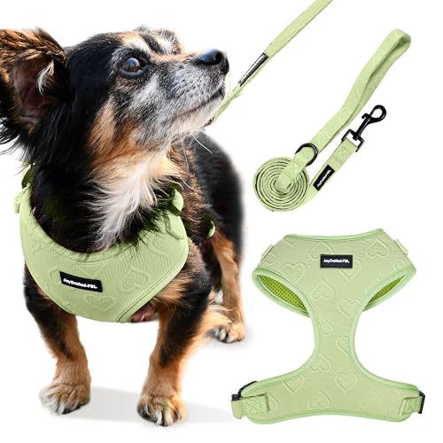 JoyCrafted-FBL Hundegeschirr und Leine Set - Verstellbares, atmungsaktives Neopren, kein Ziehen, reflektierend, bequeme Passform für kleine und mittelgroße Hunde (Grün, XXS/XS) von JoyCrafted-FBL