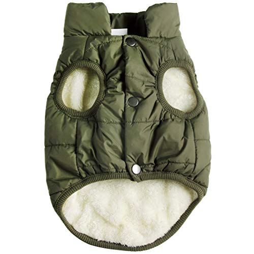 JoyDaog Fleece Hundejacke für Winter kaltes Wetter, Extra Weicher Hundemantel für Mittlere Hunde, Winddichte Welpen Weste, Grün XL von JoyDaog