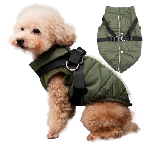 JoyDaog Hundejacke mit Geschirr, mit Fleece gefüttert, warmer Welpenmantel für den Winter, weich, winddicht, für kleine Hunde, Grün, Größe M von JoyDaog