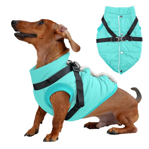 JoyDaog Hundejacke mit Geschirr, mit Fleece gefüttert, warmer Welpenmantel für den Winter, weich, winddicht, mittelgroße Hundeweste, Blau, Größe L von JoyDaog