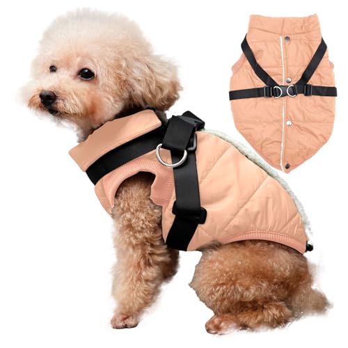 JoyDaog Hundejacke mit Geschirr, mit Fleece gefüttert, warmer Welpenmantel für den Winter, weiche, winddichte Weste für kleine Hunde, Hellorange, Größe M von JoyDaog