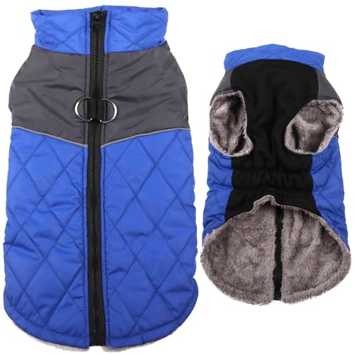 JoyDaog Warmer Fleece-Hundemantel für kleine Hunde, D-Ringe, wasserdichte Welpenjacke für den kalten Winter, blau, XS von JoyDaog