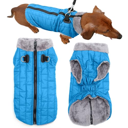 JoyDaog Warmer Fleece-Hundemantel mit strapazierfähigem Geschirr mit D-Ring, wasserdichte Welpenjacke für kleine Hunde, Hundeweste für den kalten Winter, Hellblau, Größe S von JoyDaog