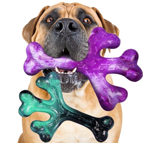 Joyahoo Aggressive Chewers Kauspielzeug für Hunde – 2 Stück, robustes Hundespielzeug für aggressive Kauer, große Rassen, unzerstörbares Hundespielzeug für aggressive Kauer von Joyahoo
