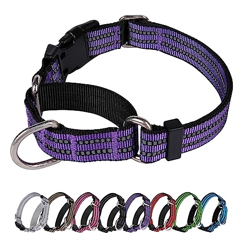 JOYEEIIOO Martingale Hundehalsband, verstellbar, Nylon, reflektierend, mit Schnalle, kein Ziehen, für kleine, mittelgroße und große Hunde, verhindert Herausrutschen, hilft bei starken Ziehern, erhöht von Joyeeiioo