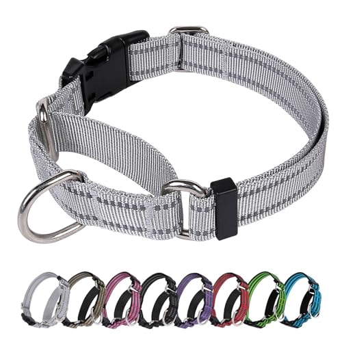 JOYEEIIOO Martingale Hundehalsband, verstellbares, mittelgroße und große Hunde. Verhindert das Herausrutschen. Hilft bei starken Abziehern, erhöht die Kontrolle. Weiße S von Joyeeiioo