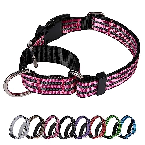 JOYEEIIOO Martingale Hundehalsband, verstellbares, reflektierendes Nylon-Halsband mit Schnalle. Kein Ziehen, für kleine, erhöht die Kontrolle, rosa S von Joyeeiioo