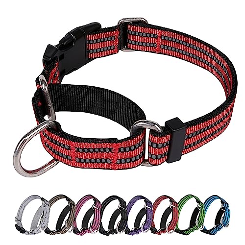 JOYEEIIOO Martingale Hundehalsband, verstellbares, reflektierendes Nylon-Halsband mit Schnalle. Kein Ziehen, für kleine, erhöht die Kontrolle, rote S.. von Joyeeiioo
