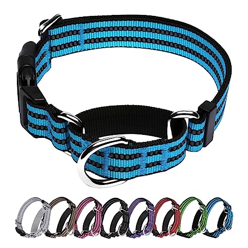 JOYEEIIOO Martingale Hundehalsband, verstellbares, reflektierendes Nylon-Halsband mit Schnellverschluss-Schnalle. Festzieht sich beim Ziehen des Hundes, erhöht die Kontrolle, Blau L von Joyeeiioo